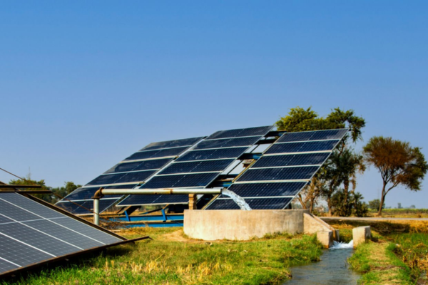 Solar Water Pumps in action