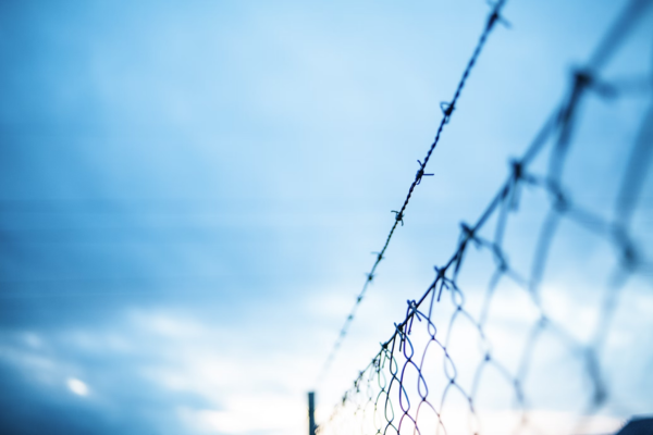 Solar Fence Protection